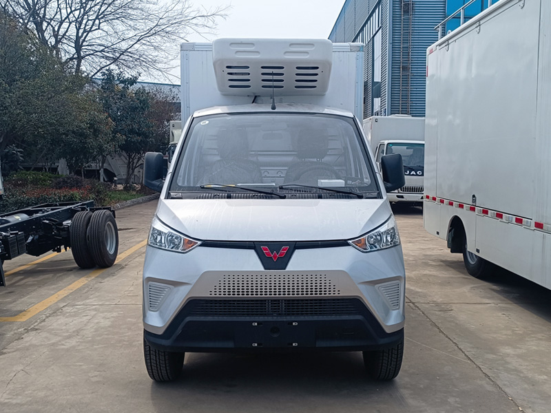 五菱纯电动冷藏车，五菱冰宝冷藏车，菱势冰宝纯电动冷藏车，柳州五菱纯电动冷藏车，菱势冰宝冷藏车，五菱菱势纯电动冷藏车